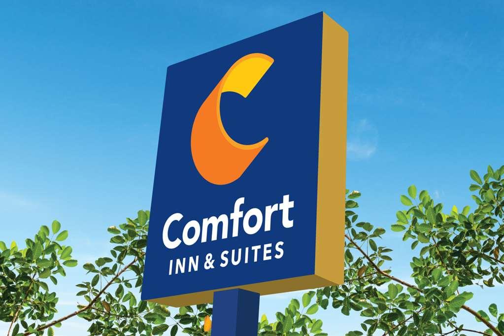 Comfort Inn & Suites High Point - Archdale Luaran gambar